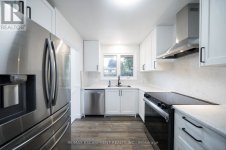 IMG_2046.jpeg IMG_2046.jpeg