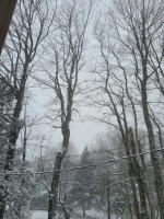 1765485630983.png 1765485630983.png