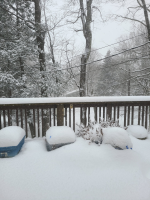 1765485659938.png 1765485659938.png