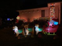 IMG_5050.jpeg IMG_5050.jpeg