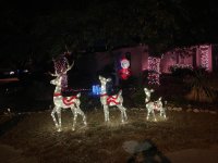 IMG_5056.jpeg IMG_5056.jpeg