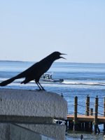 IMG-20251225-WA0009.jpg IMG-20251225-WA0009.jpg