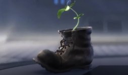 IMG_0045.jpeg IMG_0045.jpeg