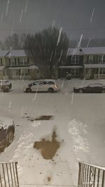 1000011457.jpg 1000011457.jpg