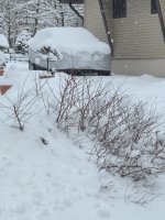 20260118_123830.jpg 20260118_123830.jpg