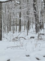 20260118_123856.jpg 20260118_123856.jpg