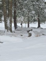 20260118_123836.jpg 20260118_123836.jpg