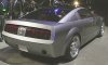 new stang4.jpg