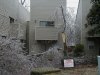 icewarning01sm.jpg