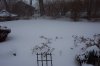 snow _0005.jpg