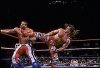 w-hbk_1.jpg