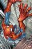 spiderman2.jpg
