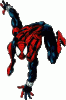 spider18.gif