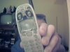 darrels cell.jpg