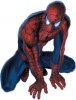 spiderman1.jpg