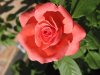 img_0005a.jpg