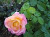 img_0032.jpg
