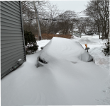 1769544569769.png 1769544569769.png