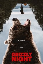 Grizzly Night.jpg
