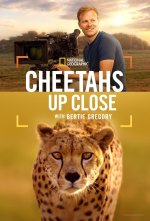 Cheetahs Up Close with Bertie Gregory.jpg