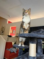 IMG_2395.jpeg IMG_2395.jpeg