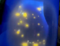 Screenshot 2026-03-05 at 9.44.08 AM.png