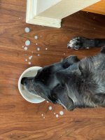 IMG_5701.jpeg IMG_5701.jpeg