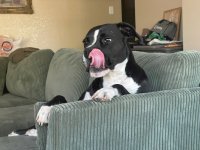 IMG_3940.jpeg IMG_3940.jpeg