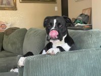 IMG_3939.jpeg IMG_3939.jpeg