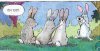 rabbitPhoto.jpg