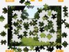 jigsaw.jpg