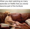 Netflix.jpg