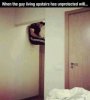 wifi.jpg
