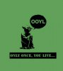 star_wars_humor_funny_typography_yoda_yolo_you_onl.jpg