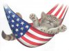 4th-of-july-kitten.jpg