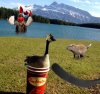 canadaday.jpg