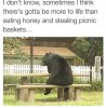 picnic.jpg