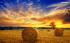 golden-sunset-over-the-hay-bales-6688-1280x800.jpeg