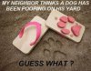 DogPooooo.jpeg