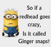 Funny-Minion-Quotes-Of-The-Day-316.jpeg