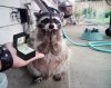 proposal.jpeg