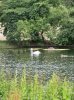IMG_0650.JPG