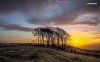 wonderful-yellow-sunrise-7070-1280x800.jpeg