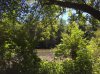 red cedar trail.JPG