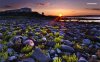 sunset-on-the-rocky-shore-7127-1280x800.jpeg