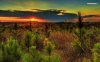 beautiful-sunset-in-the-desert-6883-1280x800.jpeg