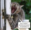 funny-pictures-cat-does-not-want-school-1.jpg