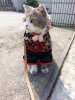 tumblr_nk2tajBvVE1t1rtgpo2_540.jpg