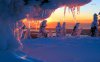9362-winter-sunset-1280x800-nature-wallpaper.jpeg