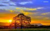 summer-sunset-6510-1280x800.jpeg
